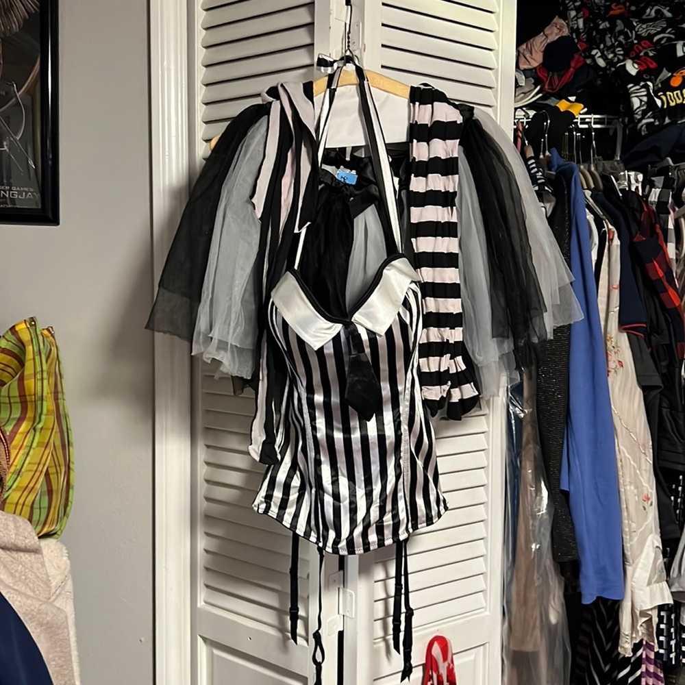 EUC Sexy Beetlejuice Costume w/2 Pairs of Matching Thigh-HI's